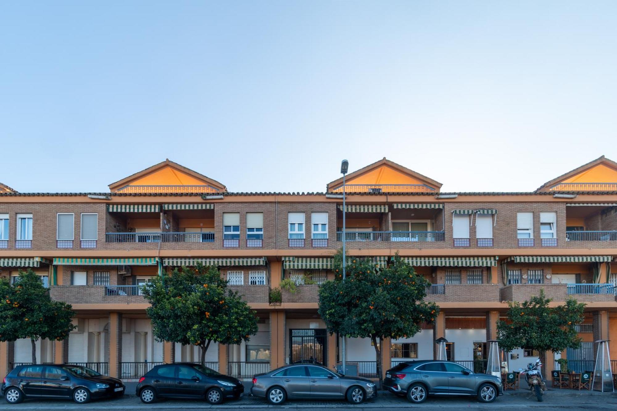 Atico Puente Romano Parking Gratuito Кордова Экстерьер фото